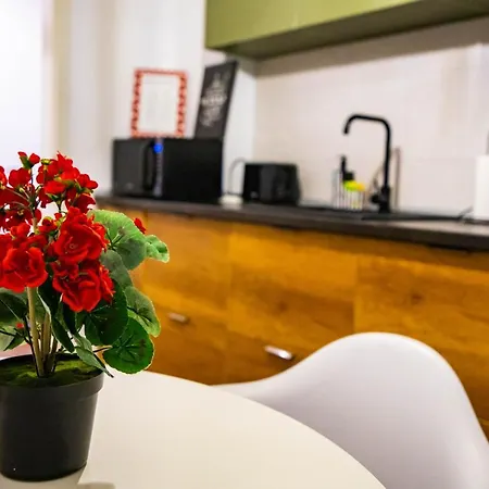 Apartment Dream Place Coresi Brasov